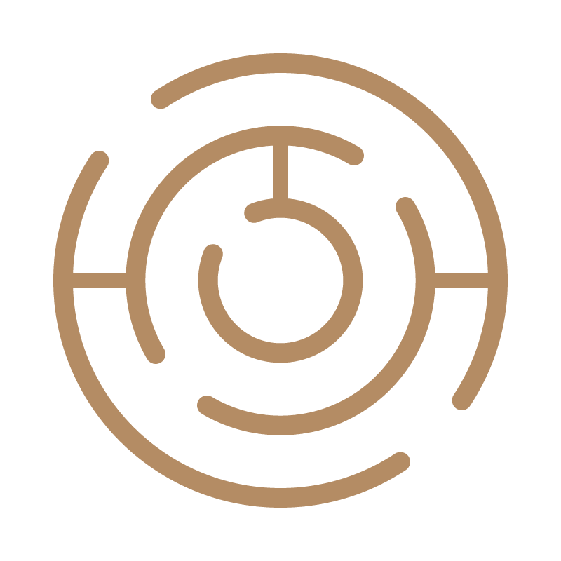 Logo Visual Coaching René Schaufelbühl